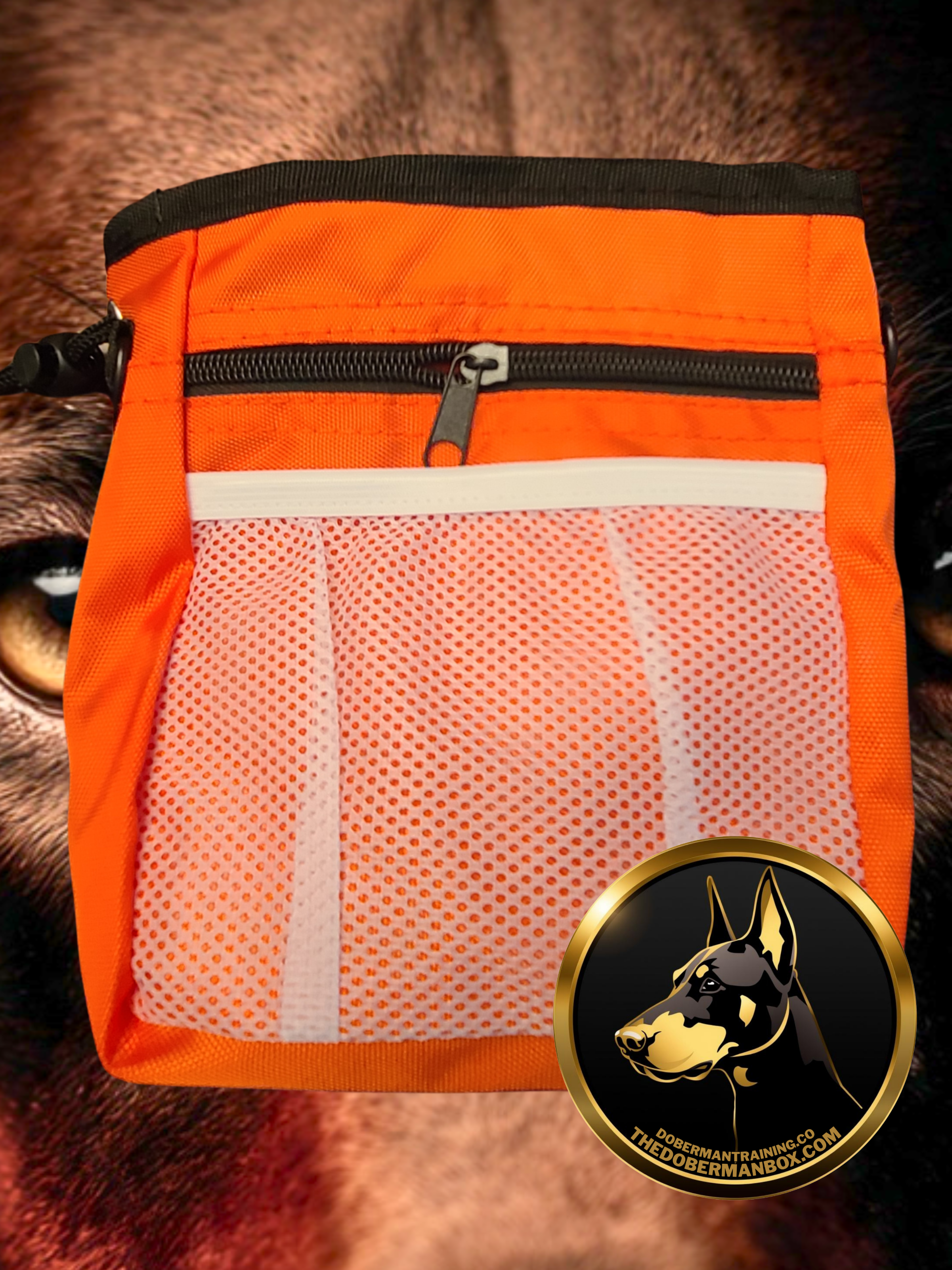 Waterproof Training Treat Pouch