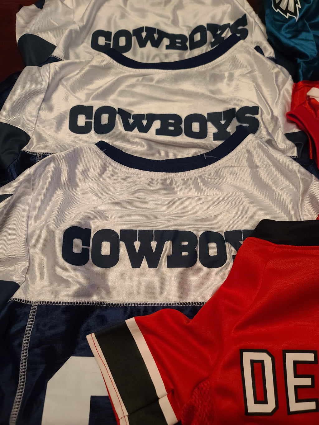 Pro Team Jerseys — Made for Dobermans