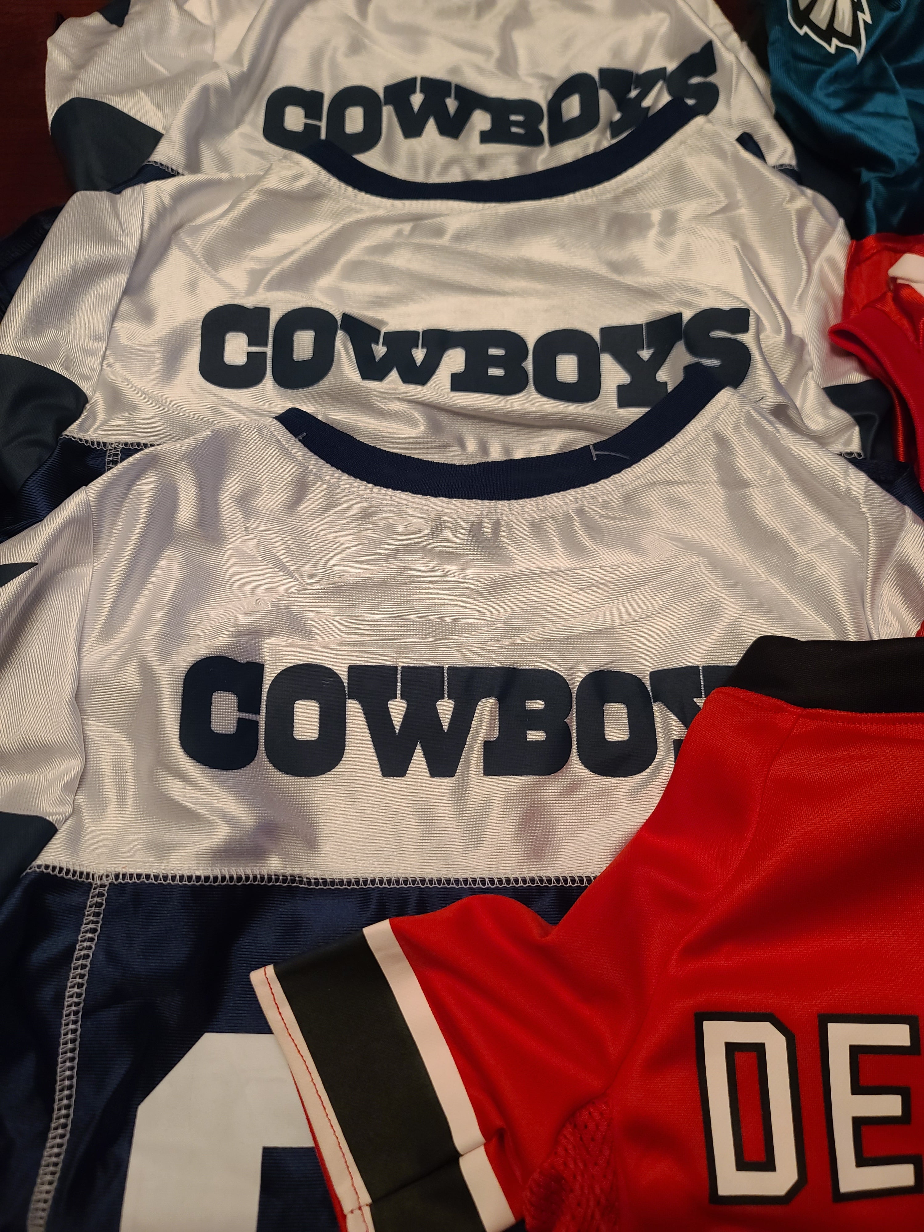 Pro Team Jerseys — Made for Dobermans